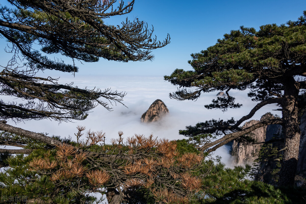 最新！中国世界自然遗产名录集合（全）建议收藏