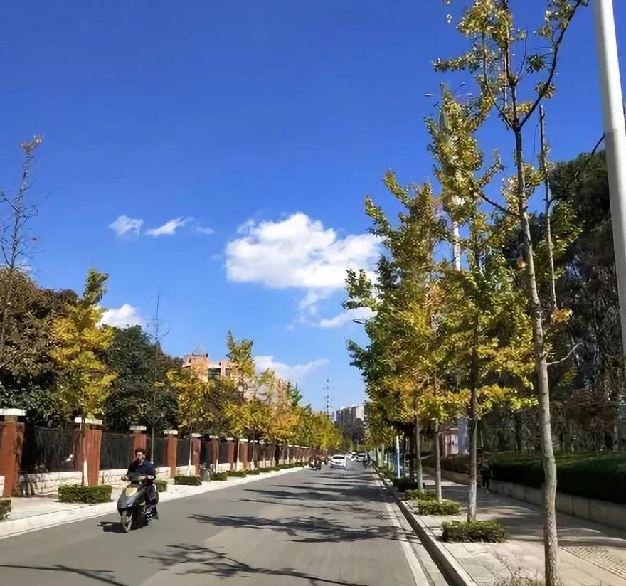 昆明最值得打卡的100个地方！你去过几个？