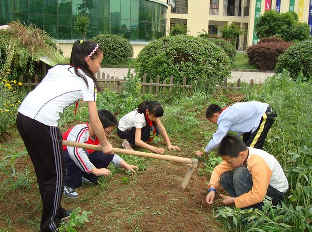 体力劳动是否过时，教育部做出回应，学生应亲身参与劳动过程