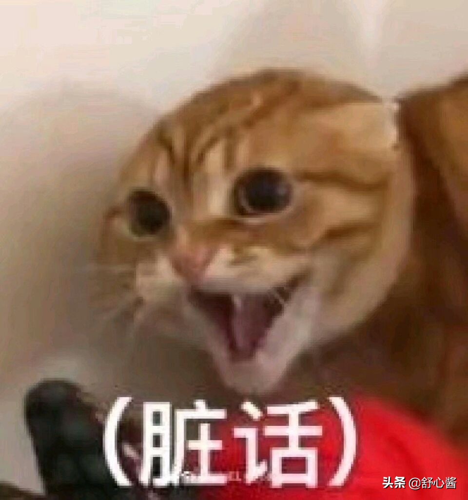 美版“洗冤录”：恻隐之心的高光合集