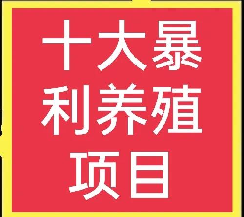 養殖業什么最賺錢,養殖業什么最賺錢農村
