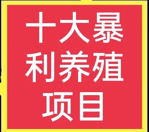 养殖业什么最赚钱,养殖业什么最赚钱农村