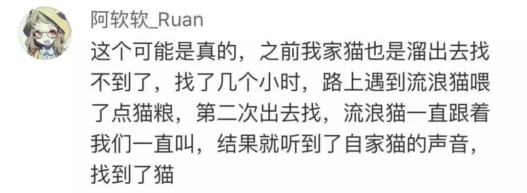 玄学找猫的“剪刀大法”“野猫帮忙法”你知道多少？