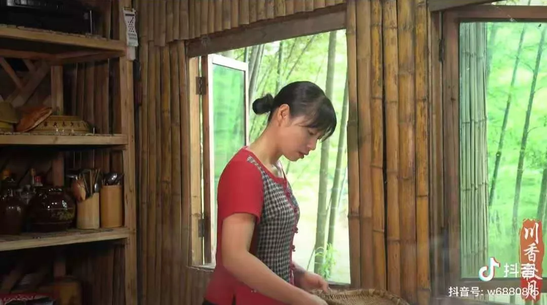 四川打工妹回家种地逆袭成千万大V,她把家乡的山货送上每张餐桌-识物网 - 数字新消费品牌知识门户