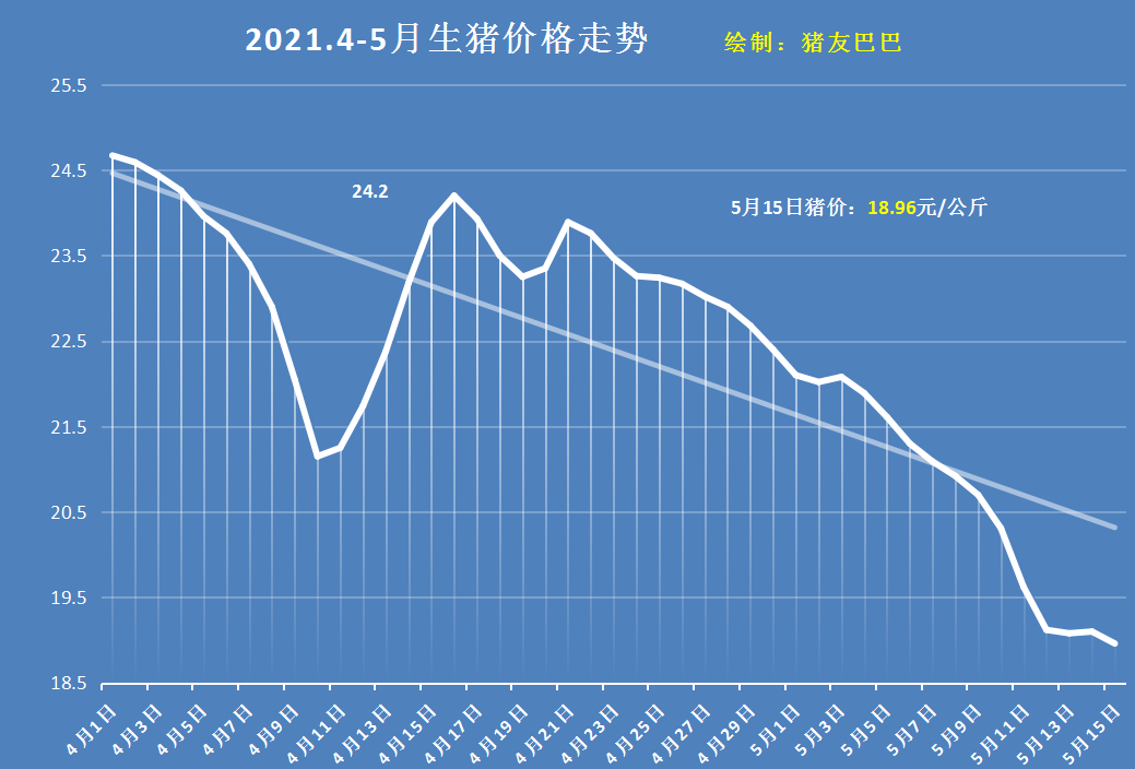 寶雞今日豬價玉米價,陝西寶雞今日豬價