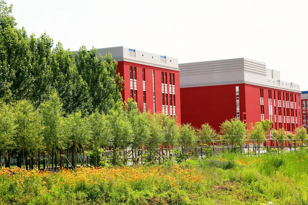 黑龙江民办高校上市！“夫妻学校”年入超1亿，要把学校开到美国