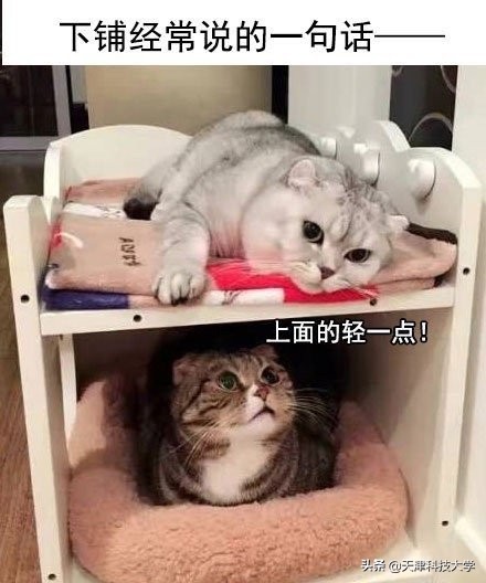 揭秘大学生的真实日常！