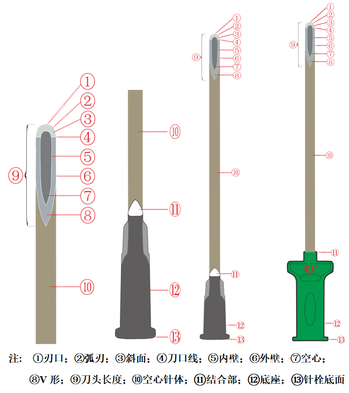 《疼痛康复指南》：针刀疗法