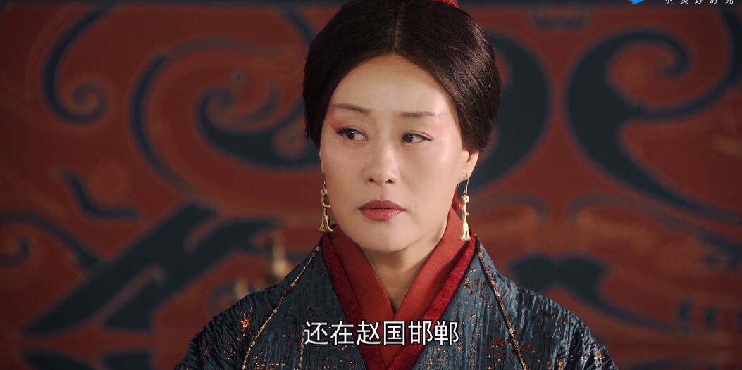 大秦赋华阳夫人扮演者是谁 大秦赋安国君扮演者是谁