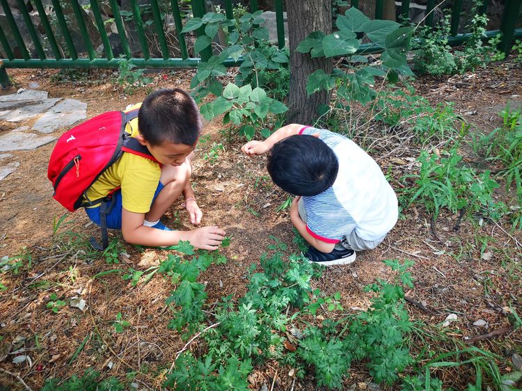 北大印象，漫步北大校园