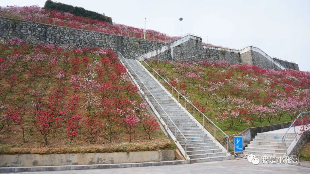 长江春色，以三峡之名——宜昌旅游攻略