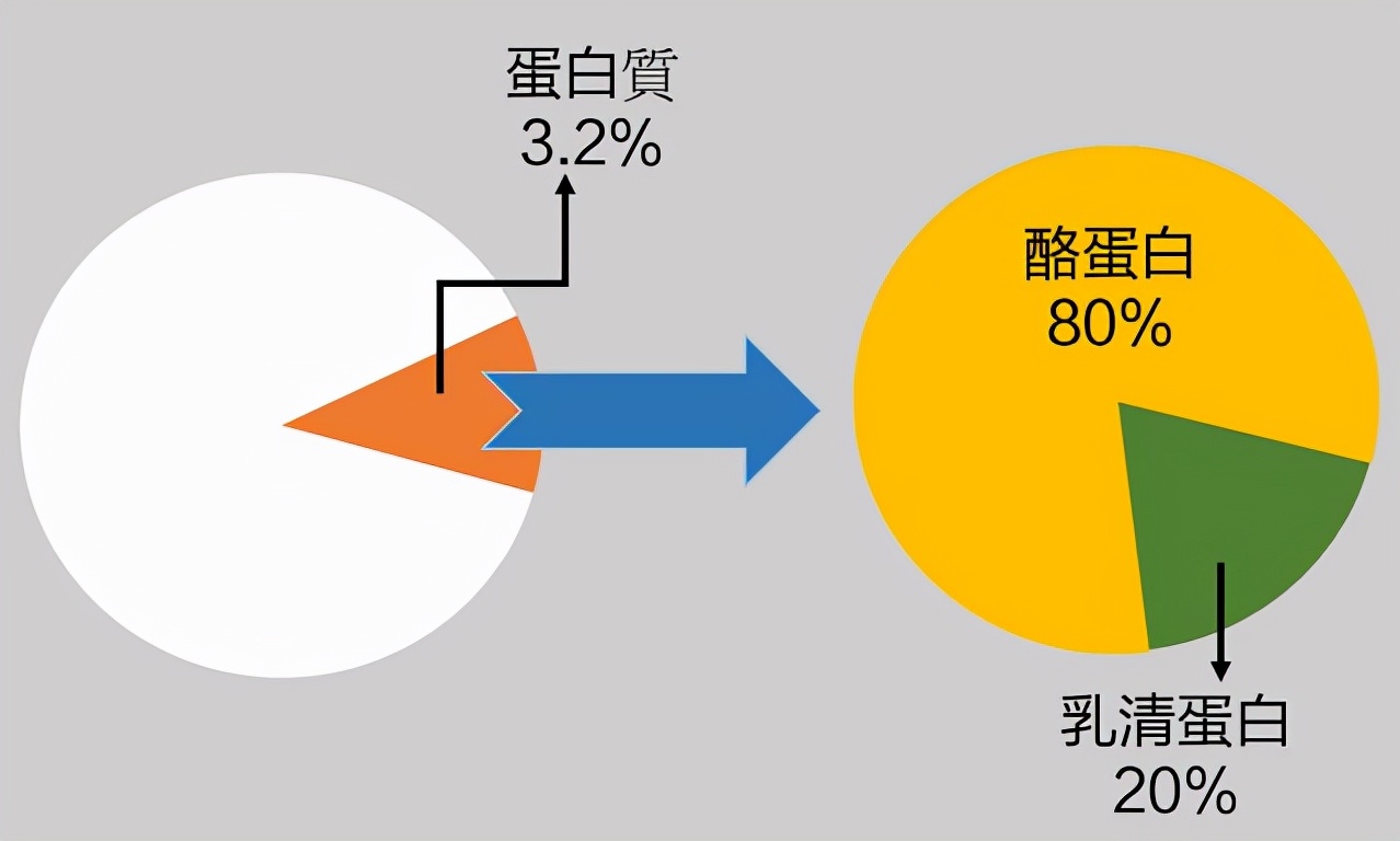 牛奶和橙子能一起吃吗（牛奶橙子或影响人的肠胃功能）