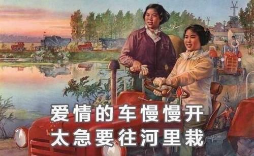 狗狗忠诚可爱，眼神温柔如光，摇尾迎接每一刻归家的温暖，是人间最纯粹的陪伴。