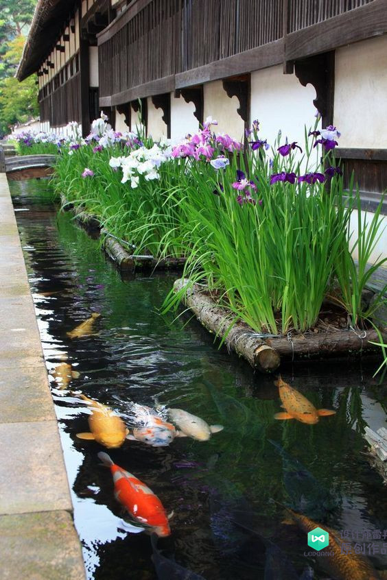 庭院鱼池都有哪些样式庭院鱼池样式图