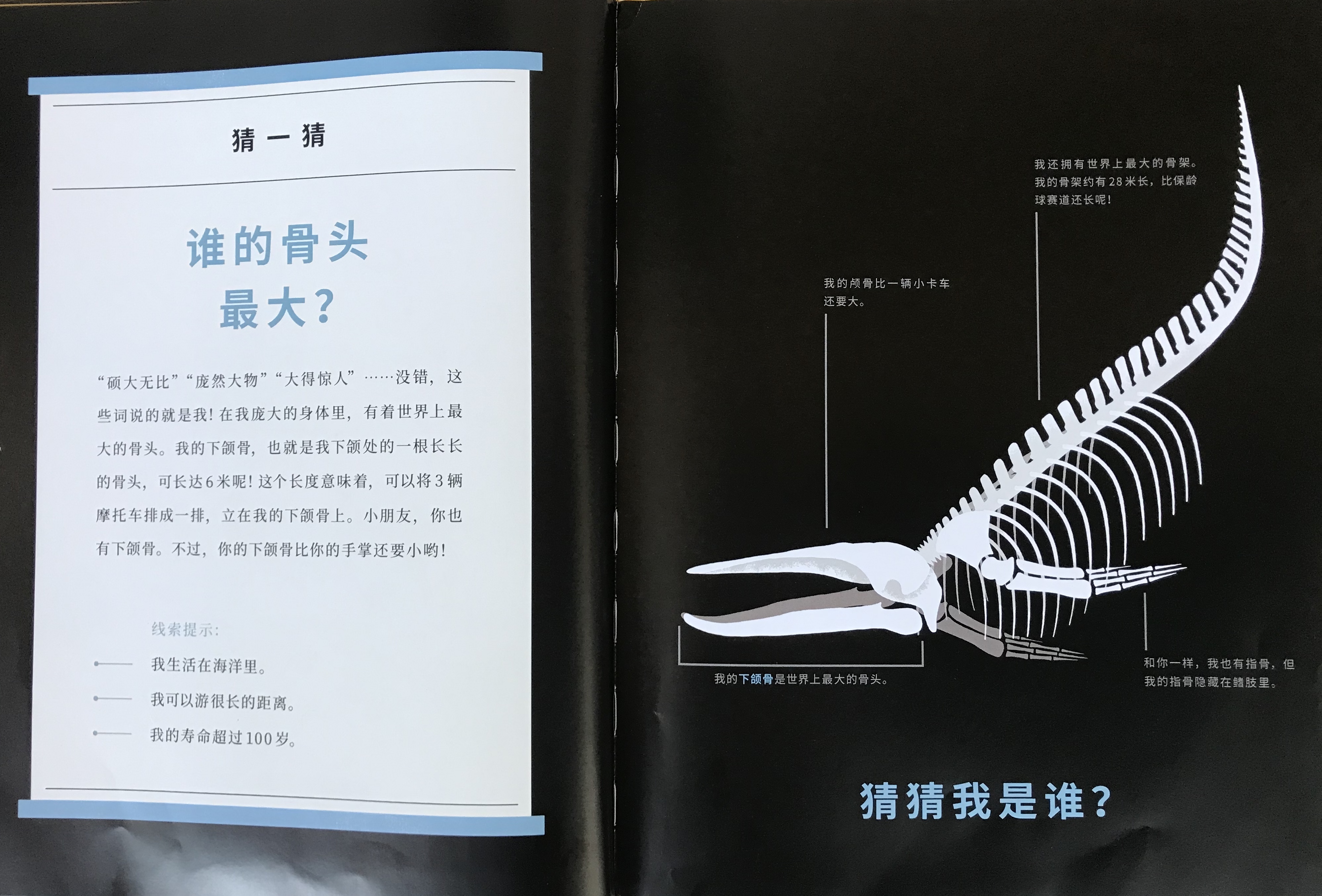 神奇的“摸骨”之书，带你揭开动物骨头的10项世界之最