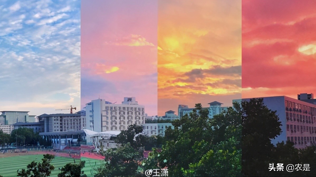 石放雄，南京农业大学，教授、博导，动物繁育研究所长、钟山学者