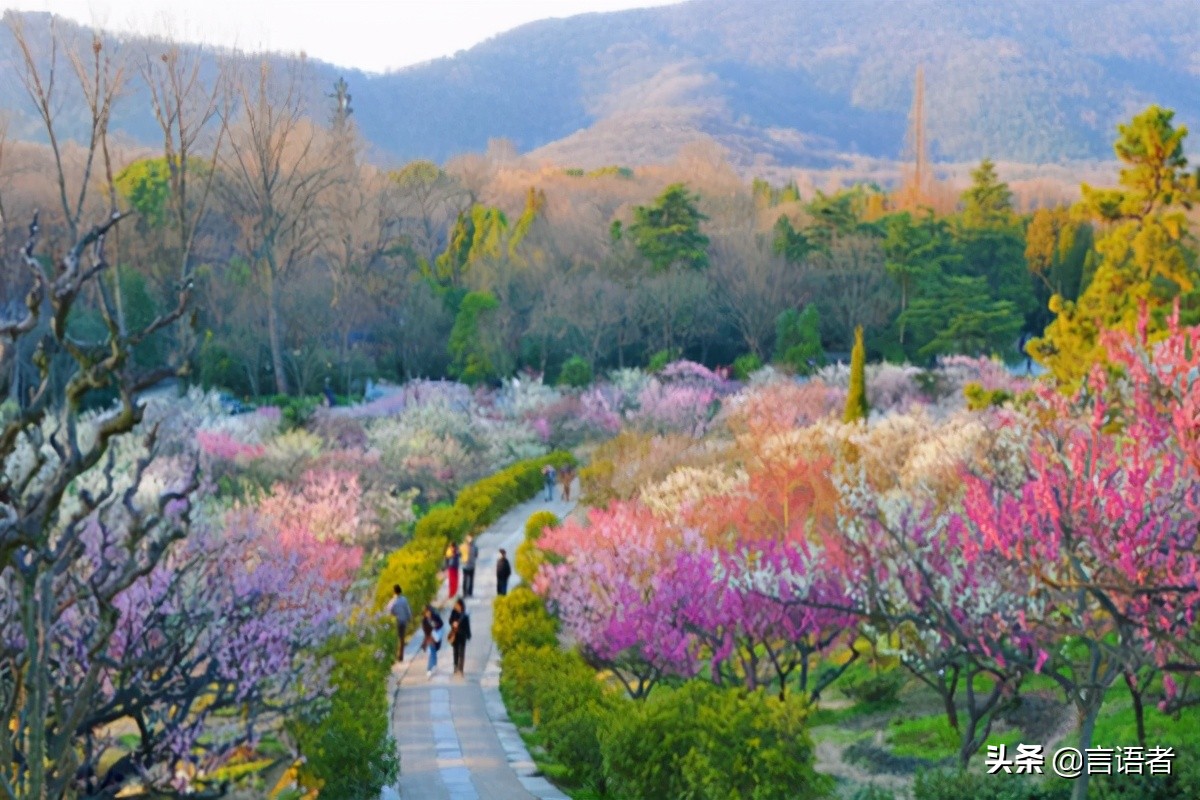 南京十大旅游名山