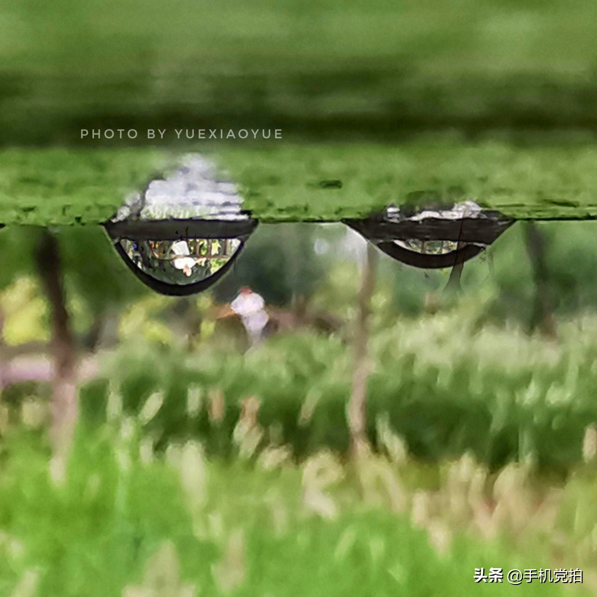普通身边景，手机拍出新感觉｜教你5招拍好“镜像”画面