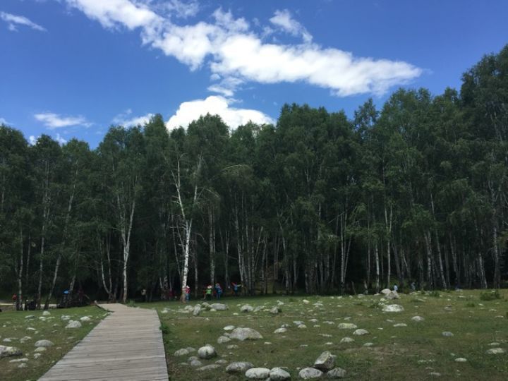 令人难以忘怀的梦幻禾木