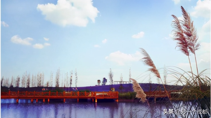 成都本周精选的玩耍活动