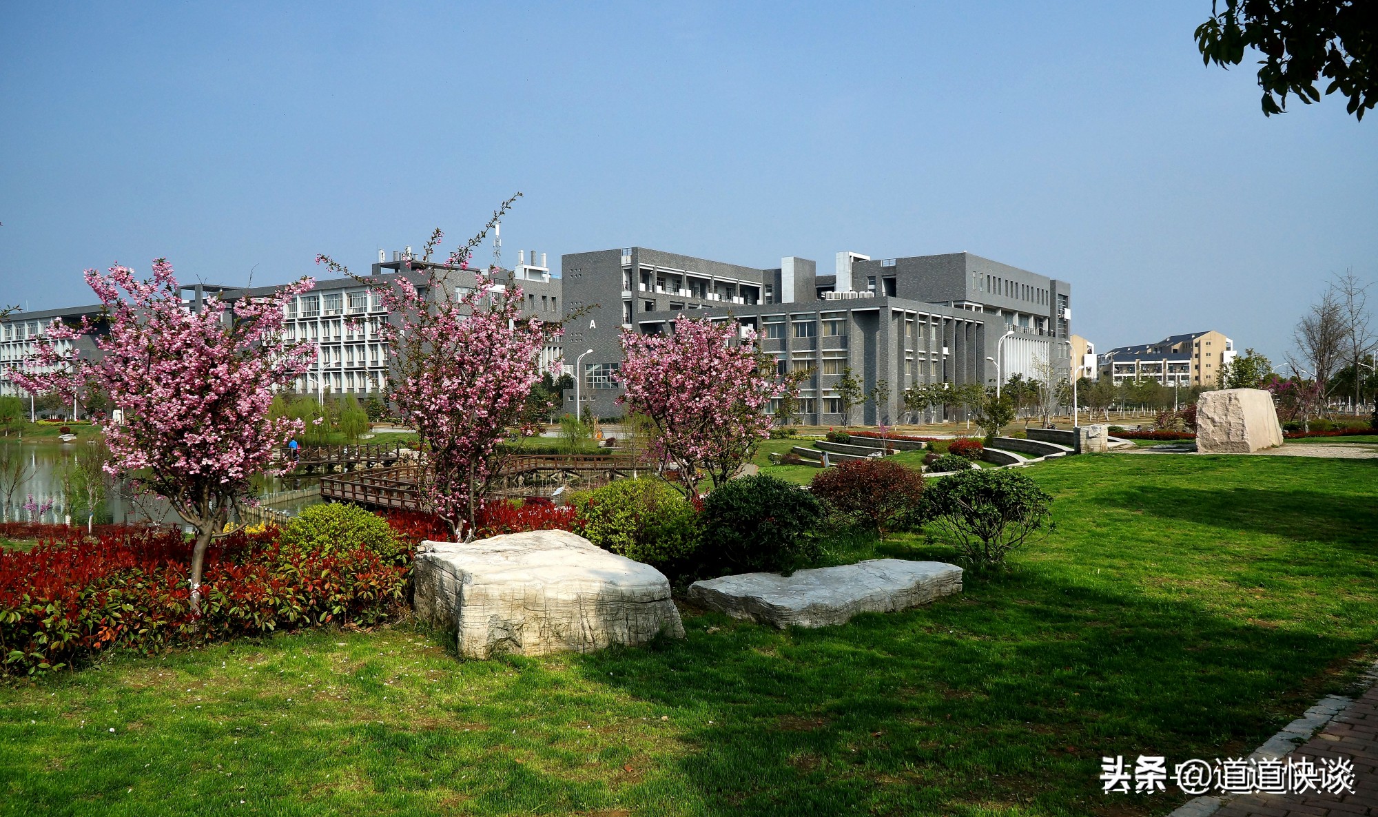 上第一所由国家创办的高等药学学府,历经华东药学院,南京药学院等阶段