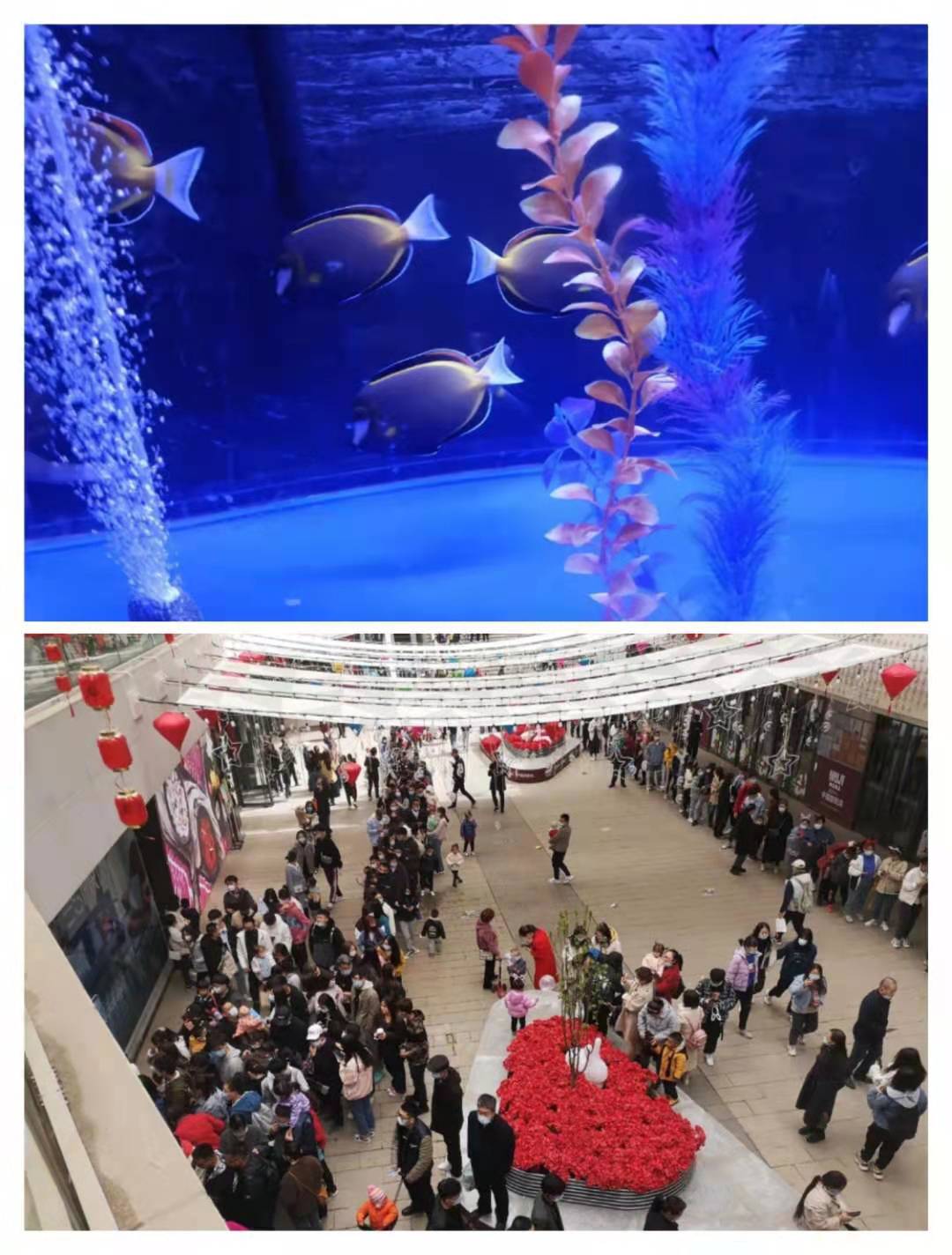 太原鱼缸海洋世界不如海鲜水产市场，盘点中国十大亲子游海洋公园