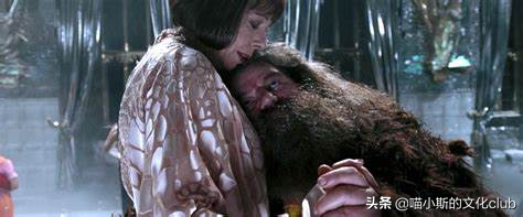 《哈利·波特》：鲁伯·海格与马克西姆夫人，相见恨晚的巨人之恋