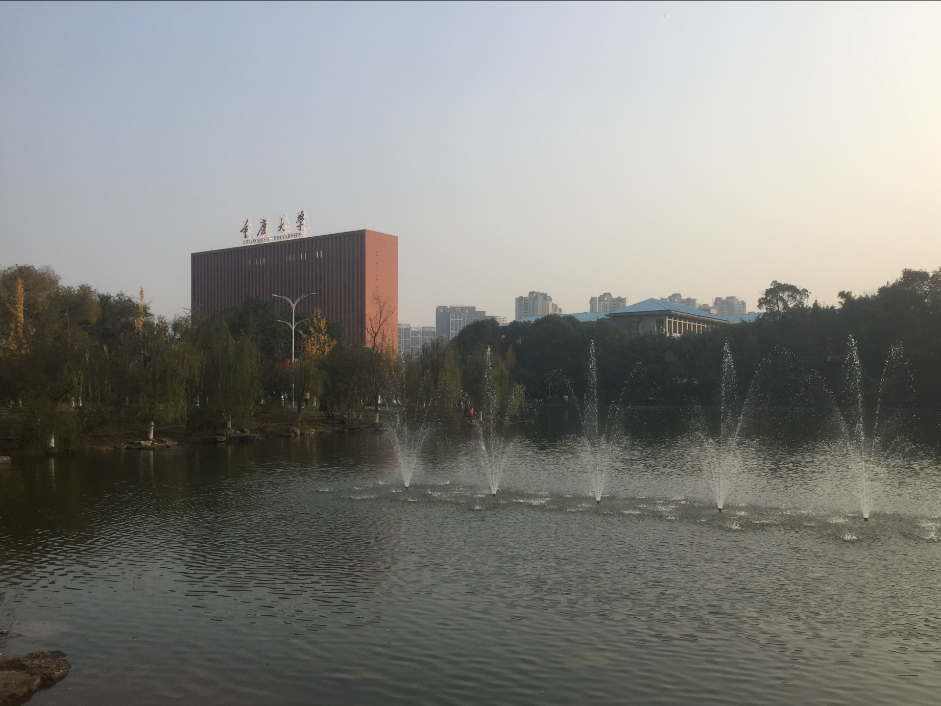 想读本地公办本科，重庆考生需要多少分？理科前50%、文科20%以内