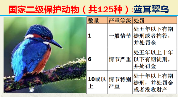 国家保护动物分几个等级（125类二级野生保护名录）