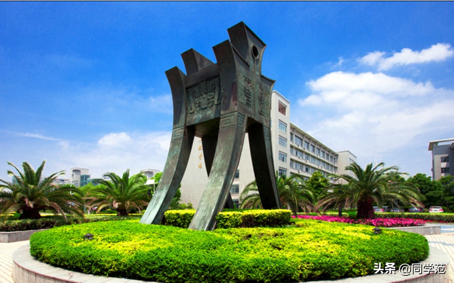 这5所大专稳居浙江高职第一梯队，实力等同高职领域的