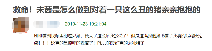 米兰养猪报告(宋茜的宠物猪又长大了？晒视频吓坏网友，纷纷调侃她：母不嫌儿丑)