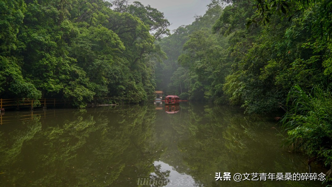 古村落、原始森林、火山岩，宝藏旅行地福建三明两日一夜打卡记