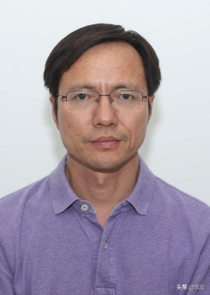 河南农业大学学报（王志祥）