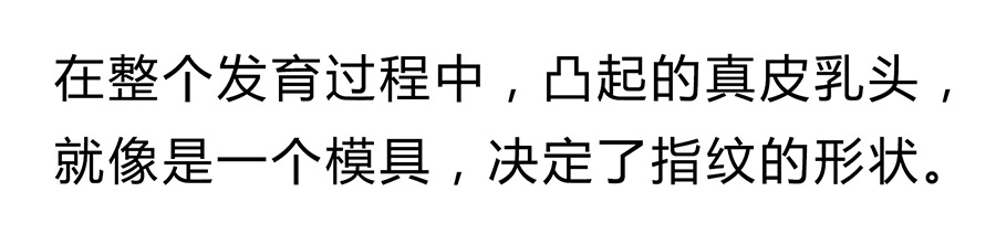 研究证实：手指上的螺纹，真的跟个人天赋有关！