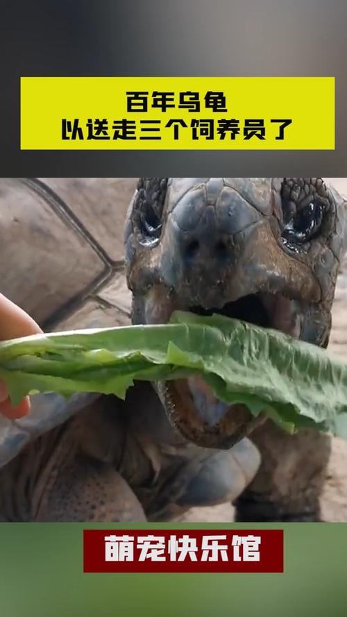 轻松一刻：关于泻火，我有话说