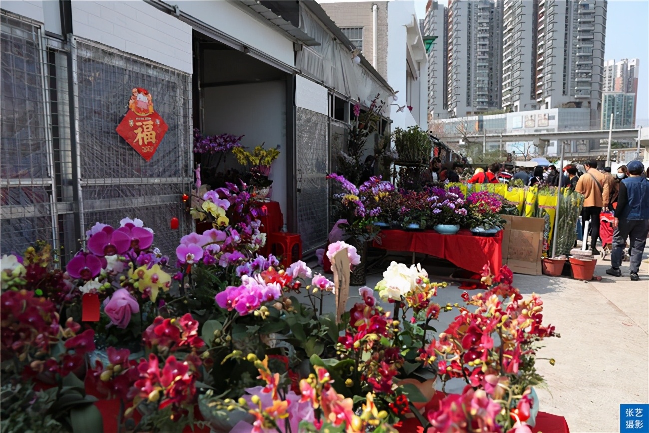 廣州花卉批發市場(春節到,逛廣州最大的嶺南花卉市場,買盆年花就過年)