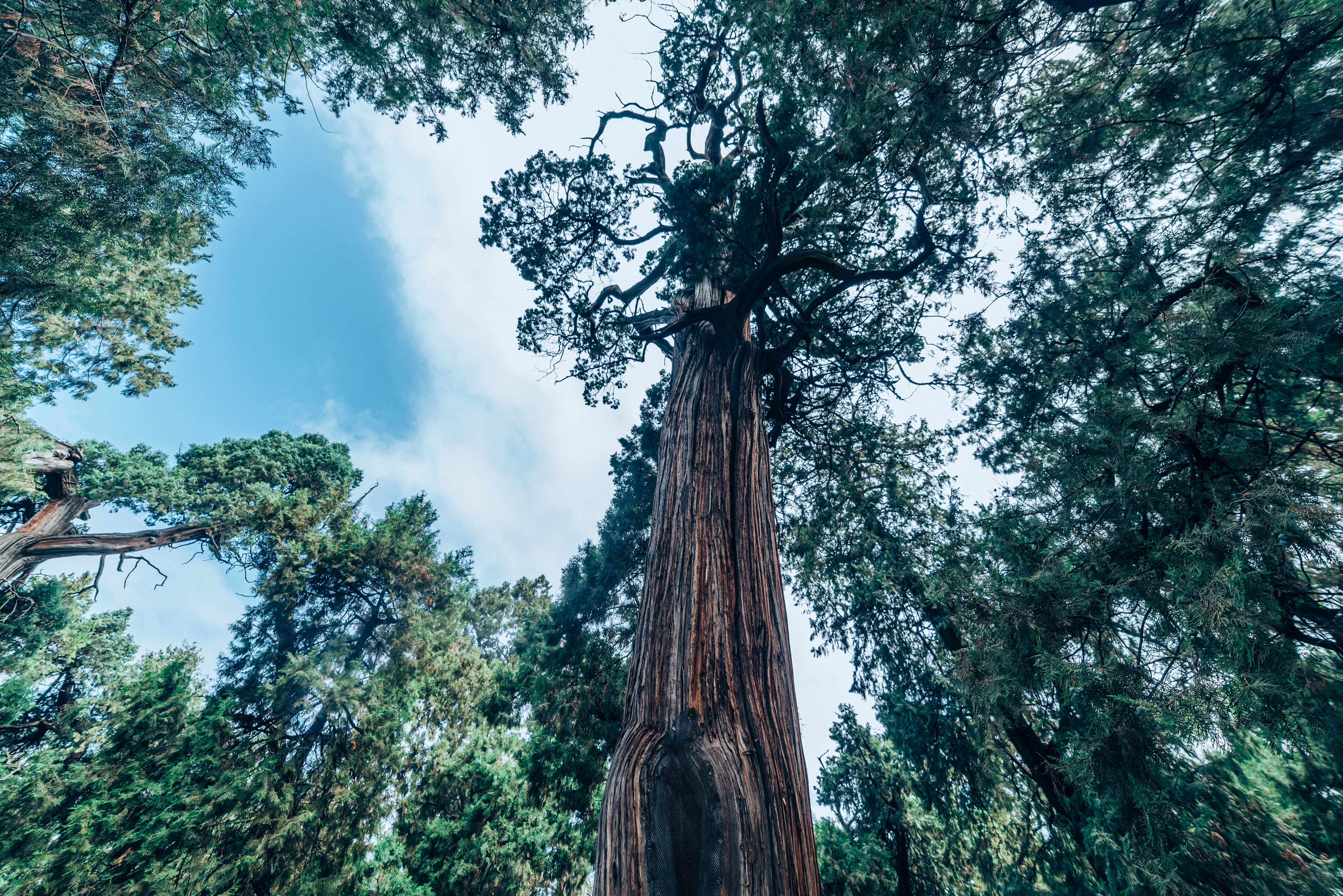 30岁创办中国第一所学校：2500年前，阙里到底发生了什么？