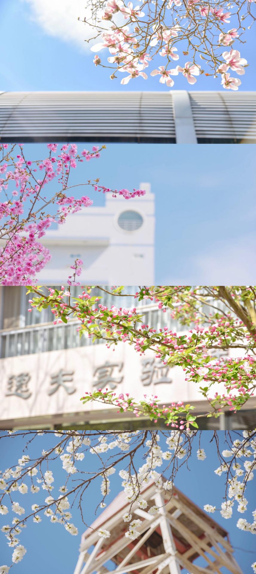 40人当选两院院士！6个学科进入世界前1%！必须报考中国地质大学（北京）的5大理由！