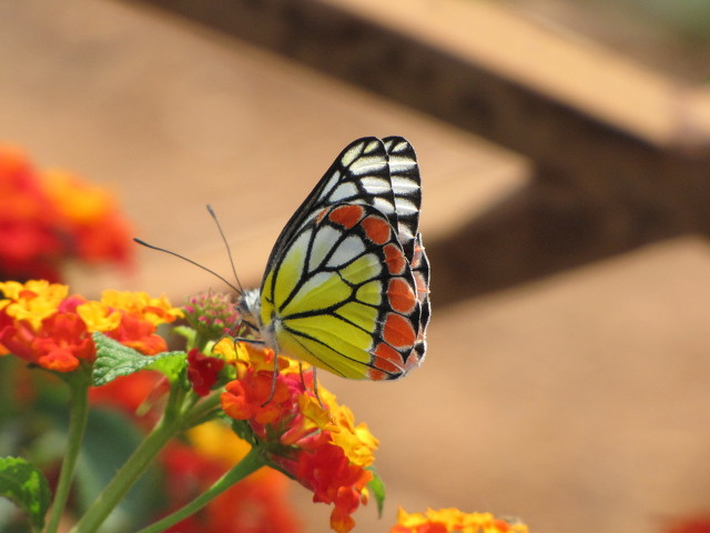 高考后 和妈妈 在旅行（高三的儿子抓住她说）