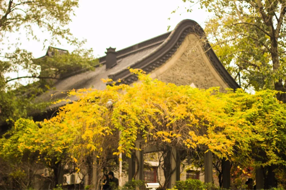 在名校读研是种怎样的体验？看看学长学姐真实的内部评价！