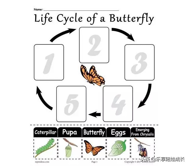 绘本磨耳朵：I'm a Caterpillar 中文《我是一条毛毛虫》！