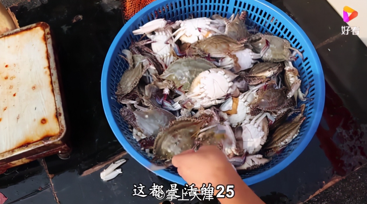天津河螃蟹今日价格「天津河螃蟹多少钱一斤」