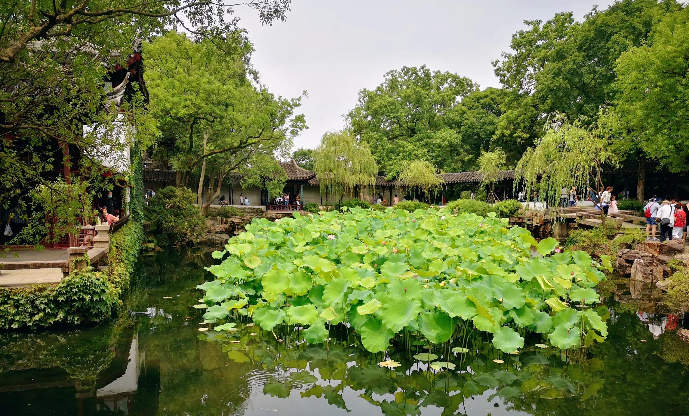 江苏旅游第一站——苏州园林之拙政园，中国古典园林的代表