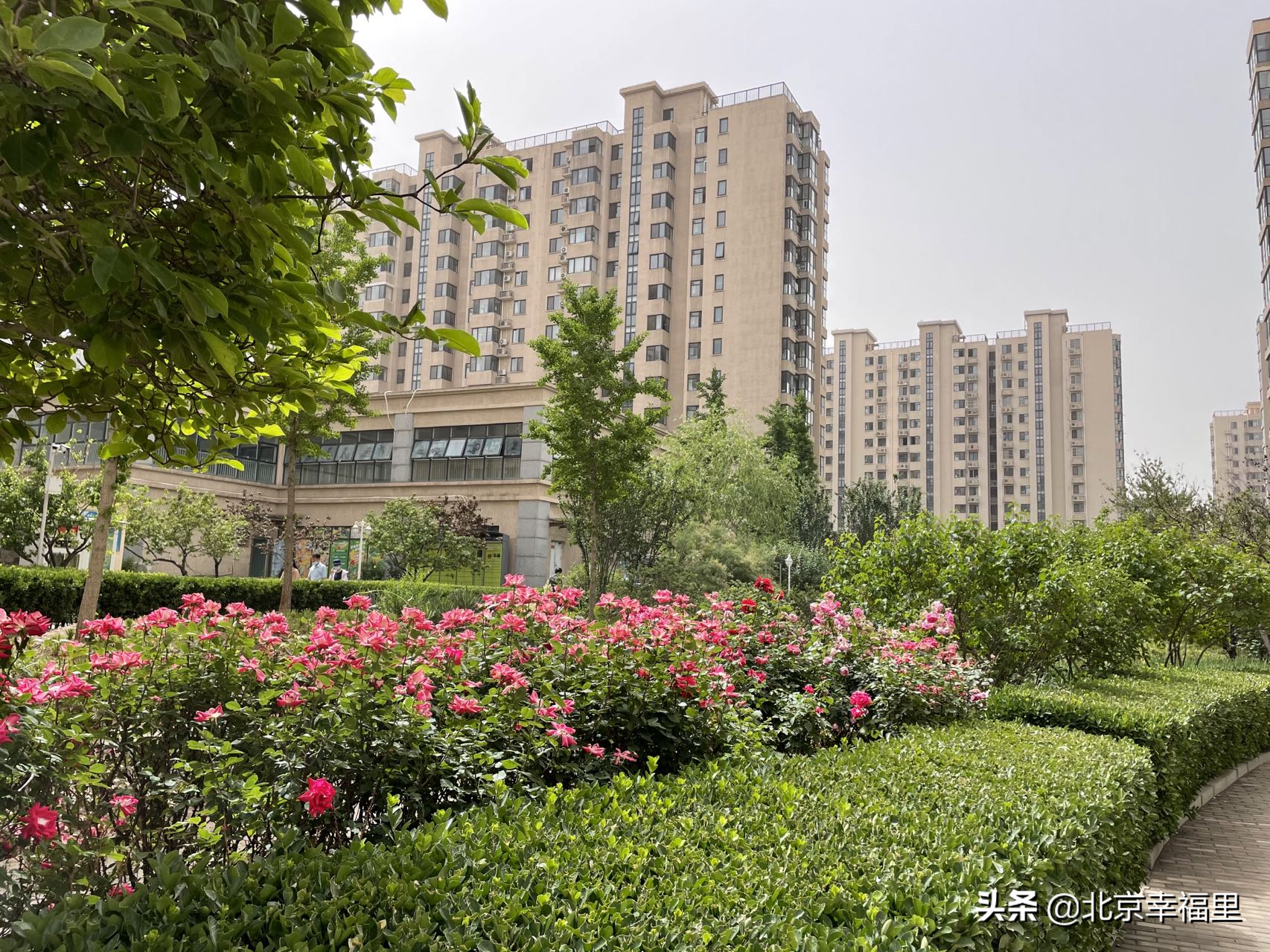 地铁加持，配套丰富，看良乡热门小区长啥样？
