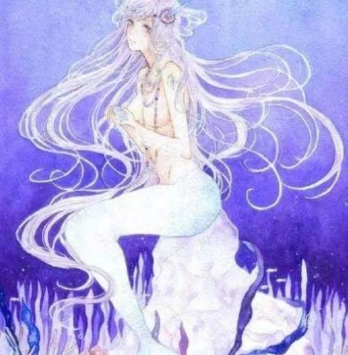 十二星座的守护星，星座花，花语，快来看看你的是什么吧