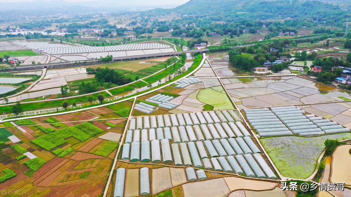 城市户口，如何才能迁回到农村户口