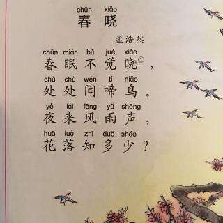 诗歌的体裁和格式