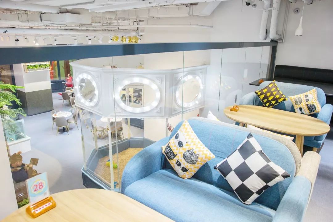 「郑州·二七万象城」这家700㎡梦幻双层亲子餐厅！谁来谁尖叫！