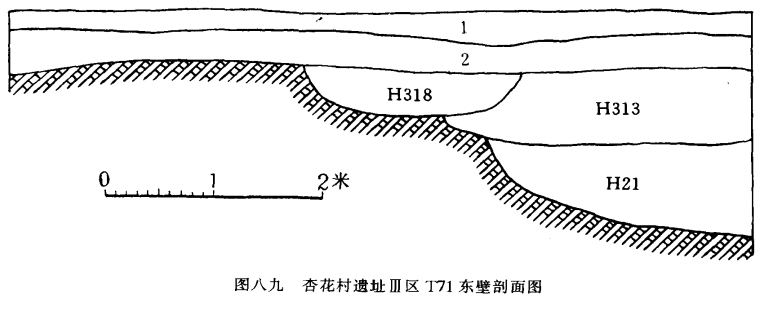 山西省汾阳市杏花村发现仰韶文化遗址