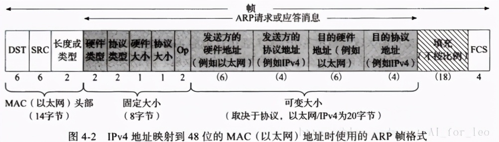「网工小白必备」全网最详细的网络基础之ARP协议